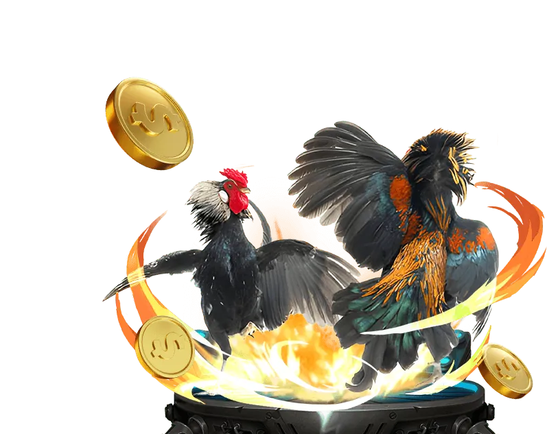 Phân tích xu hướng cá cược từ MV66.vip